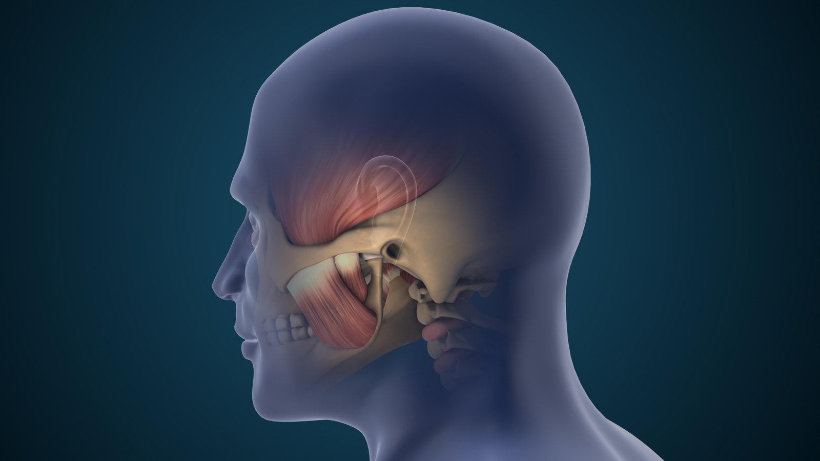 TMD Clinical Presentation